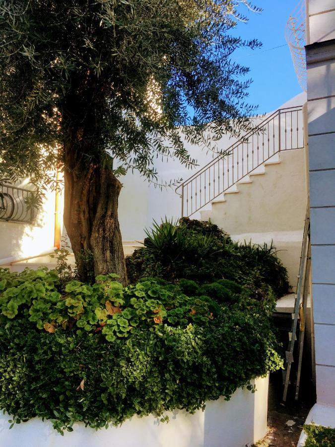B&B Casa Maria Vittoria Torre del Greco Zewnętrze zdjęcie